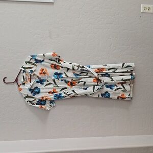 Floral Frances Valentine Belted Button Down Dress